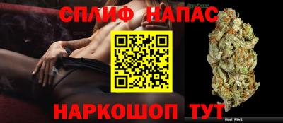 гидра Ливны