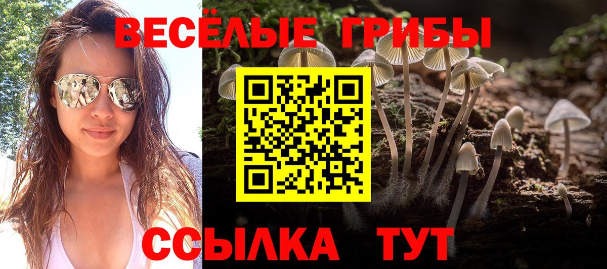Унеча  Псилоцибиновые грибы прущие грибы  Вход с VPN 
