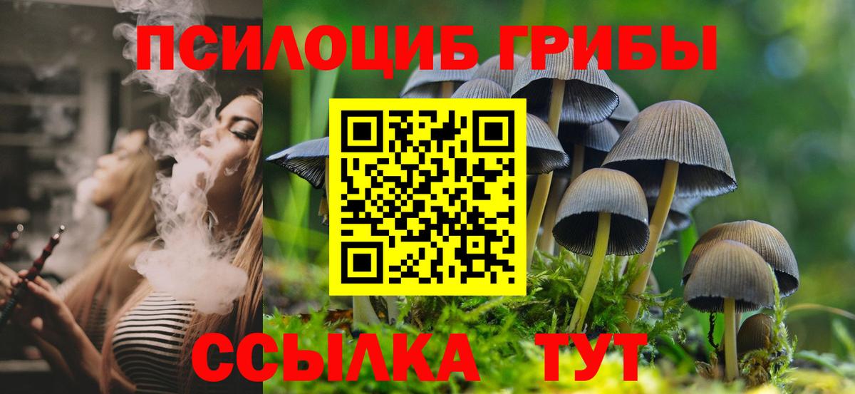 Галлюциногенные грибы Cubensis Унеча
